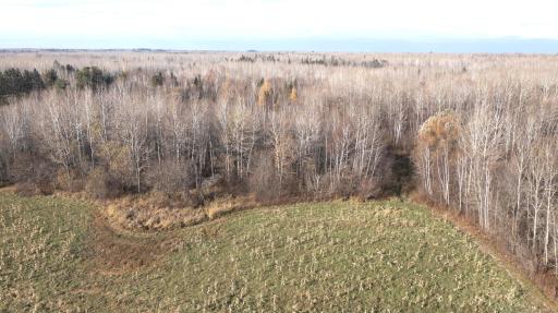 11680 County Rd 59 property 6.JPG