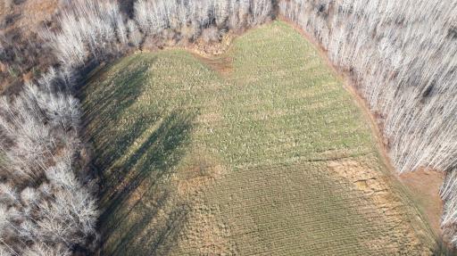 11680 County Rd 59 property 5.JPG