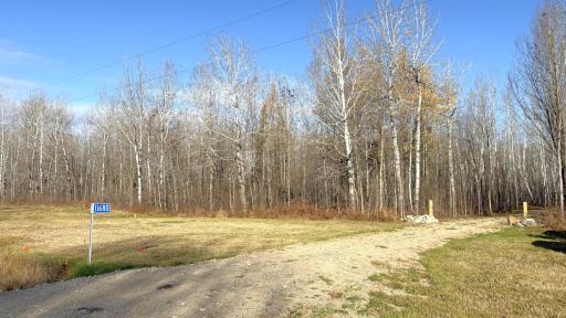 11680 County Rd 59 property 9.JPG