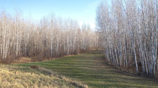 11680 County Rd 59 property 8.JPG