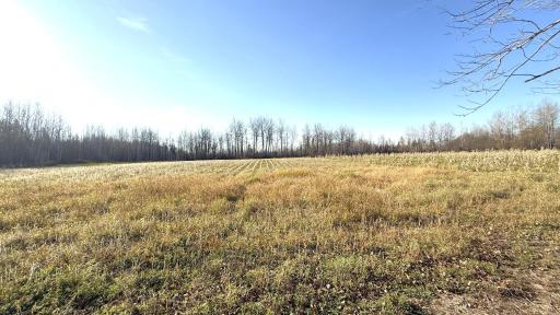 11680 County Rd 59 property ground 9.JPG