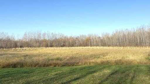 11680 County Rd 59 property ground 6.JPG