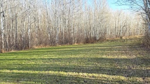 11680 County Rd 59 property ground 5.JPG