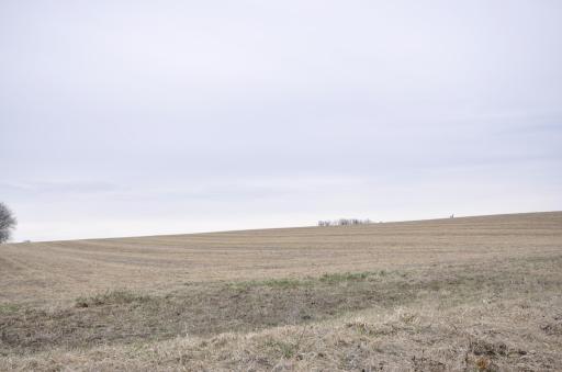 638 Shardlow Place NE, Byron, MN 55920