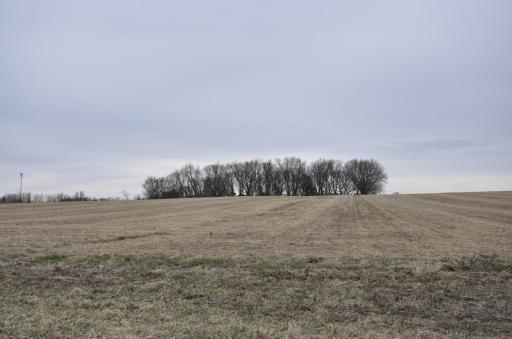 638 Shardlow Place NE, Byron, MN 55920