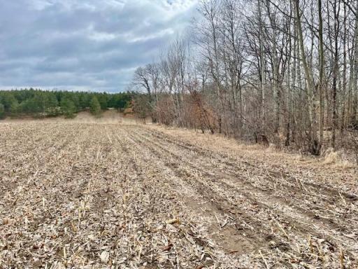 TBD CO HWY 1, Underwood, MN 56586