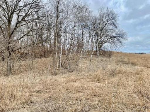 TBD CO HWY 1, Underwood, MN 56586