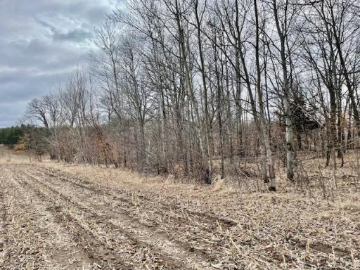 TBD CO HWY 1, Underwood, MN 56586