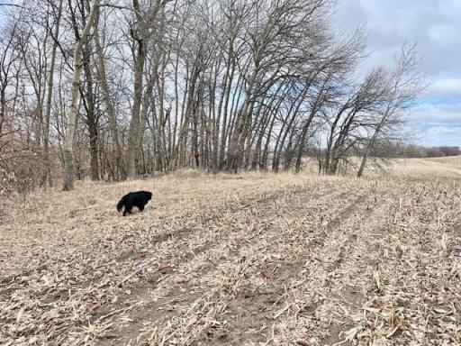 TBD CO HWY 1, Underwood, MN 56586