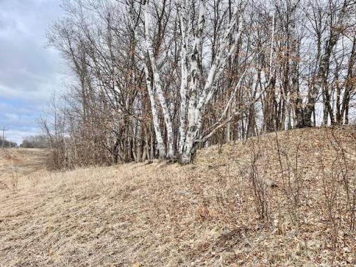 TBD CO HWY 1, Underwood, MN 56586