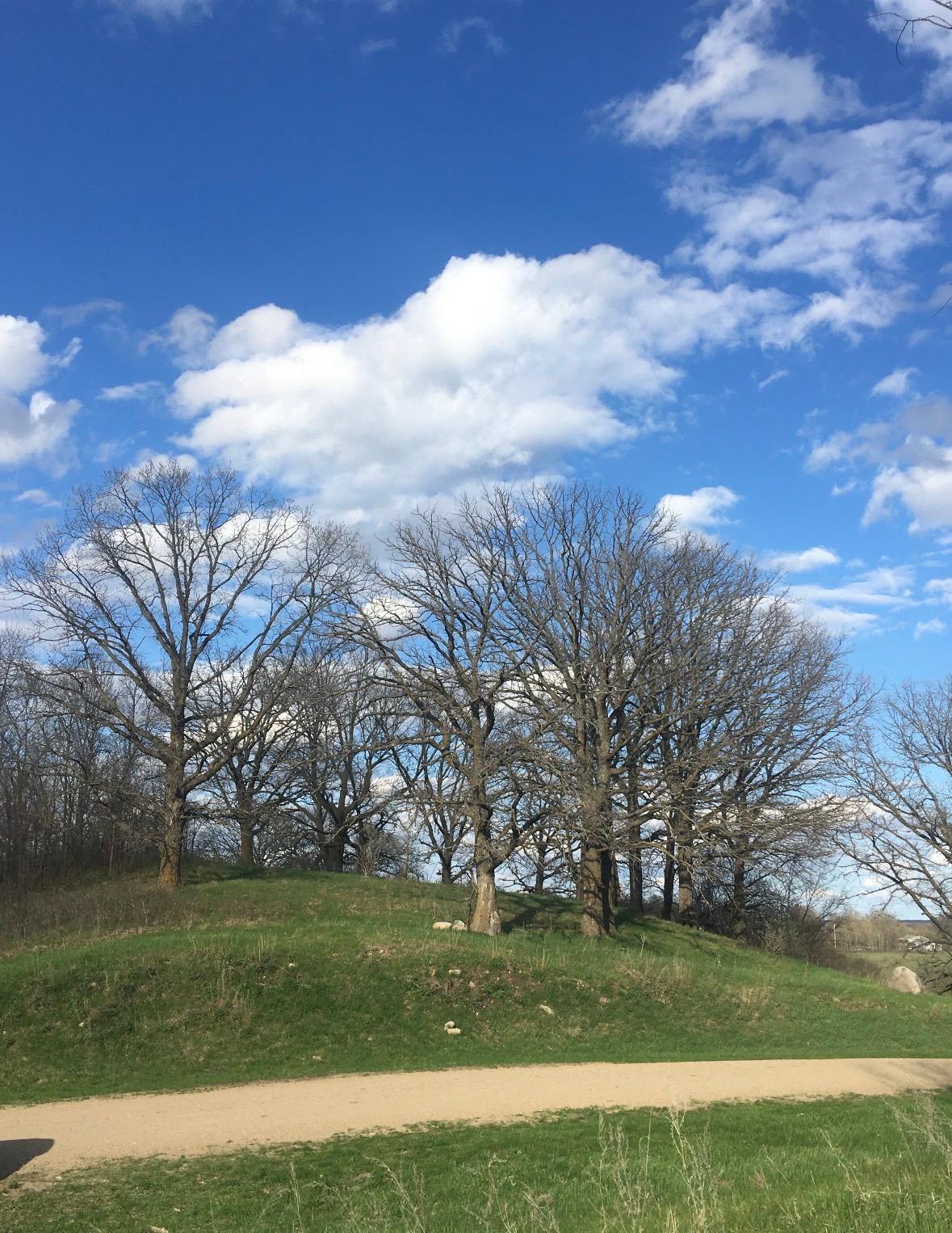 Little Long Lake Lot