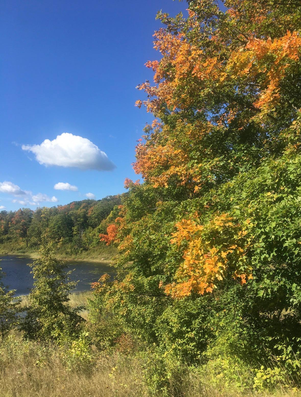 Little Long Lake Lot