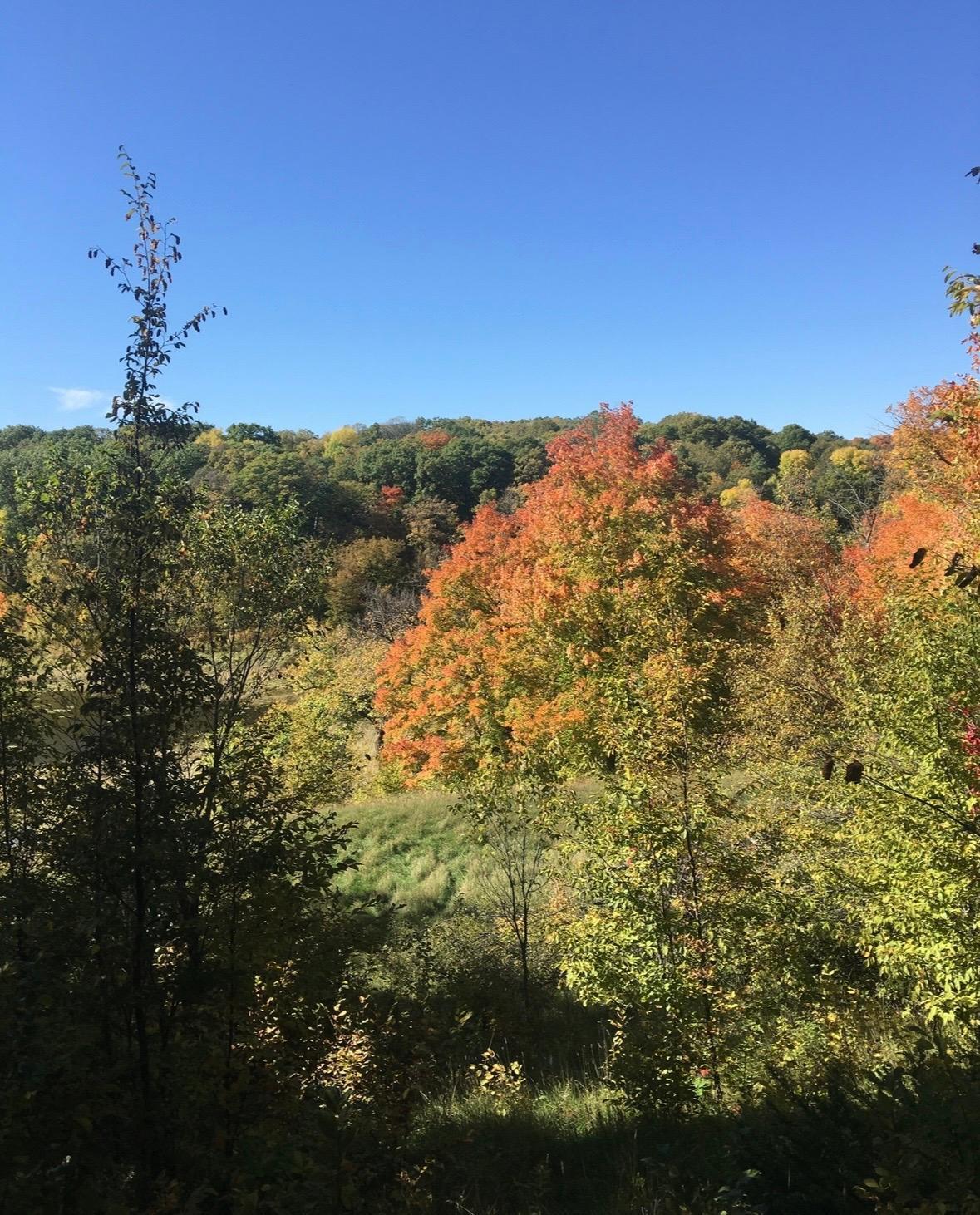 Little Long Lake Lot