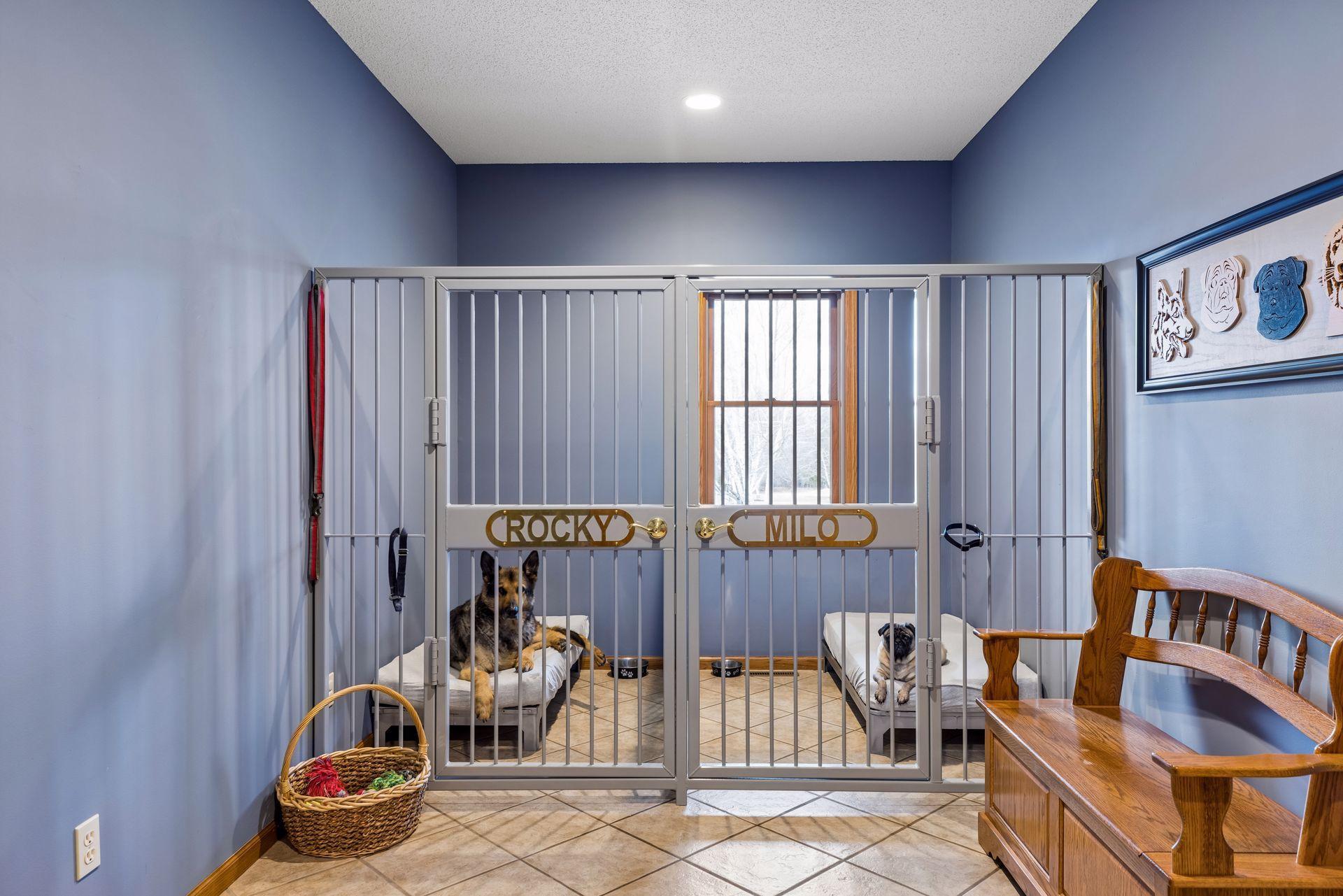 Bring your dogs! Custom steel kennel located in the mudroom