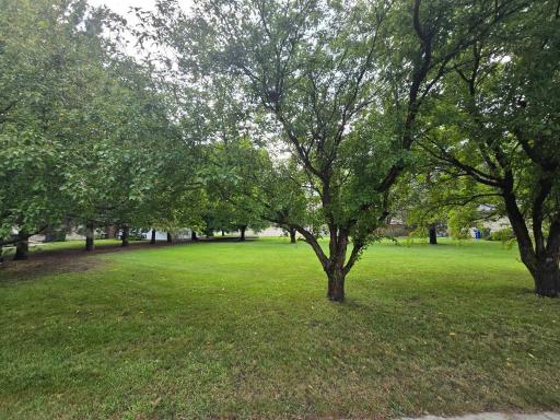 The south lot of the property-so much potential on what you can do with it!