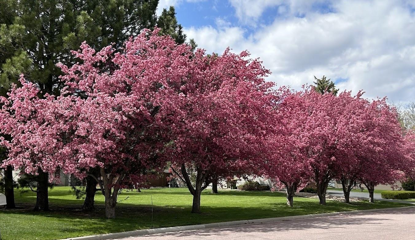 Month of May the trees are absolutely beautiful!