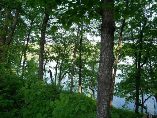 N1003 Deerhead Point Drive, Chetek, WI 54728