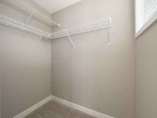 Every bedroom in the home has a generous walk-in closet.