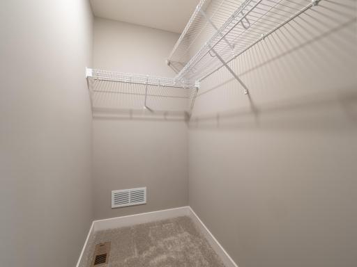 Every bedroom in the home has a generous walk-in closet.