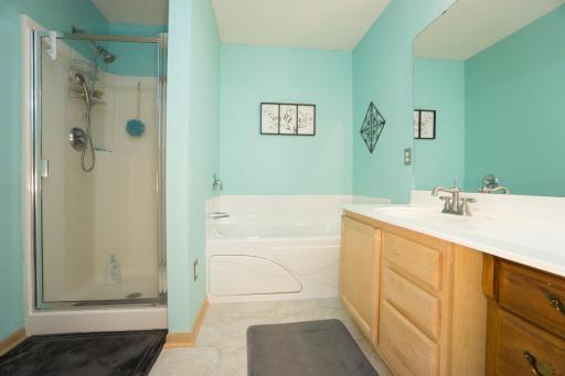 1650 Liberty Circle, 2008, Shakopee, MN 55379