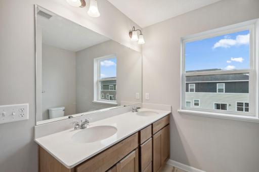 10366 Birchwood Circle, Chaska, MN 55318