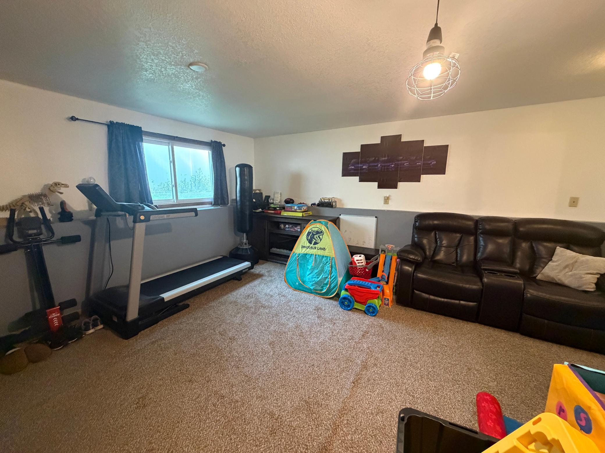 living space lower level / 4th bedroom