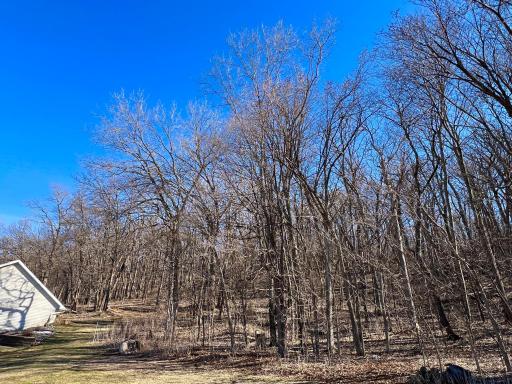 Enjoy peaceful outdoor living with 2.3 acres of space and privacy.