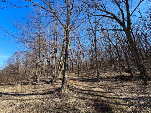 Private acreage setting with scenic surroundings and convenient access to outdoor recreation.