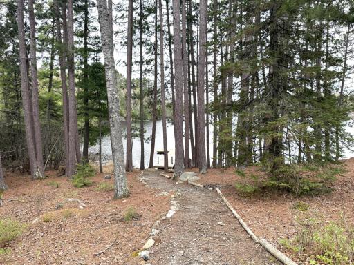 13699 Mill Road, Ely, MN 55731