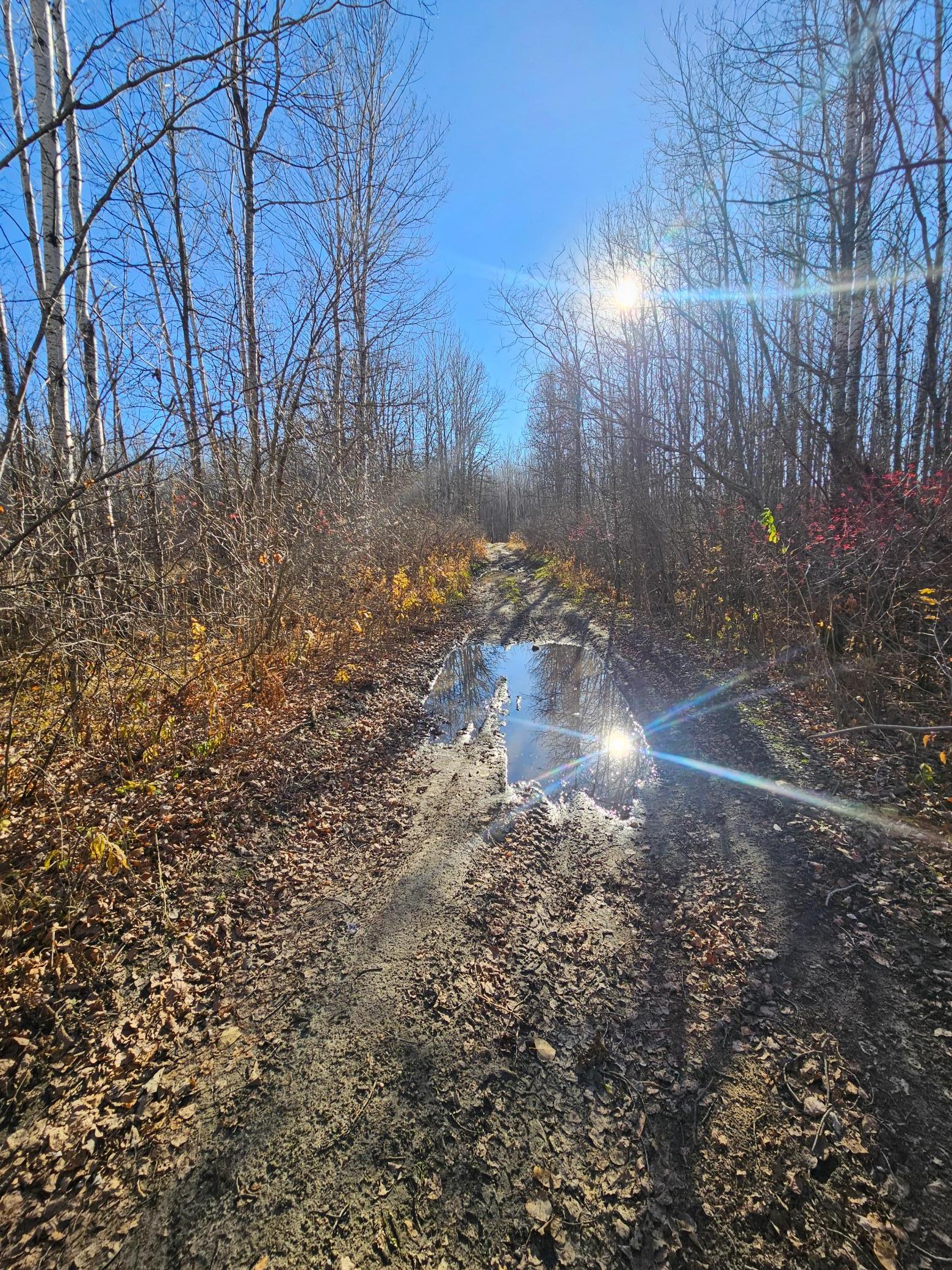 Trail Access to Acreage
