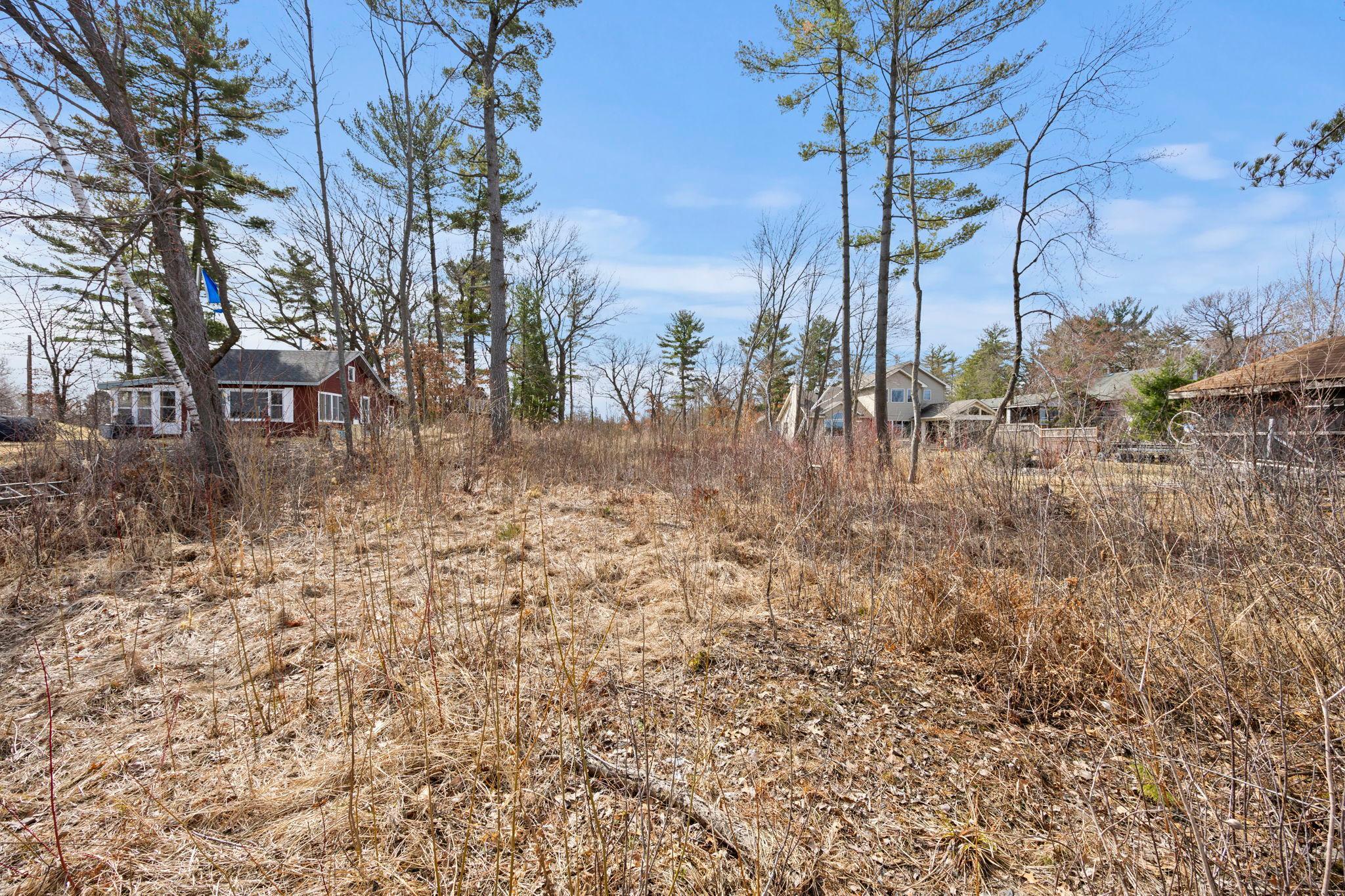 Large amount of trees have been cleared out
