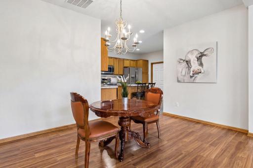 19704 Canary Path, 102, Farmington, MN 55024