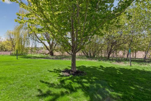 17141 90th Place N, Maple Grove, MN 55311