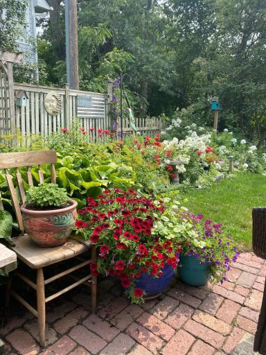 Summer photo of the yard