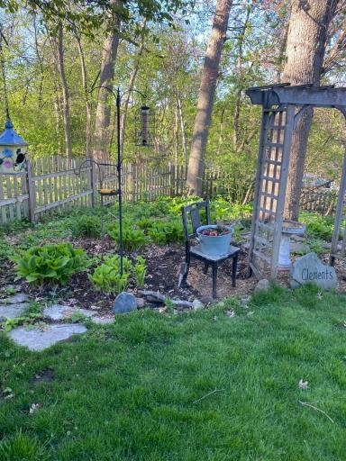 Summer photo of the yard