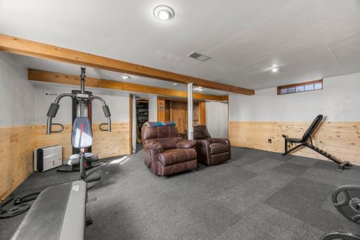 Lower level rec room/family room