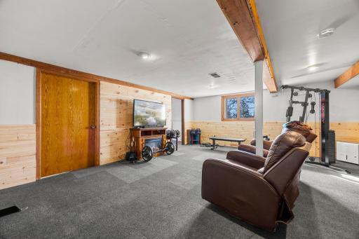 Lower level rec room/family room