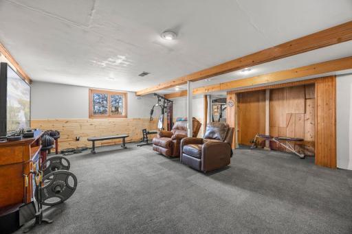 Lower level rec room/family room