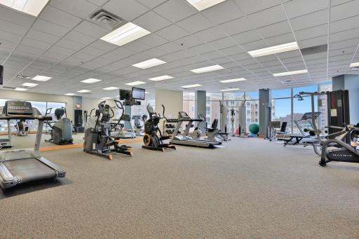 6600 Lyndale Avenue S, 1200, Minneapolis, MN 55423