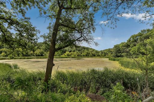 13345 25th Avenue NW, Oronoco, MN 55960