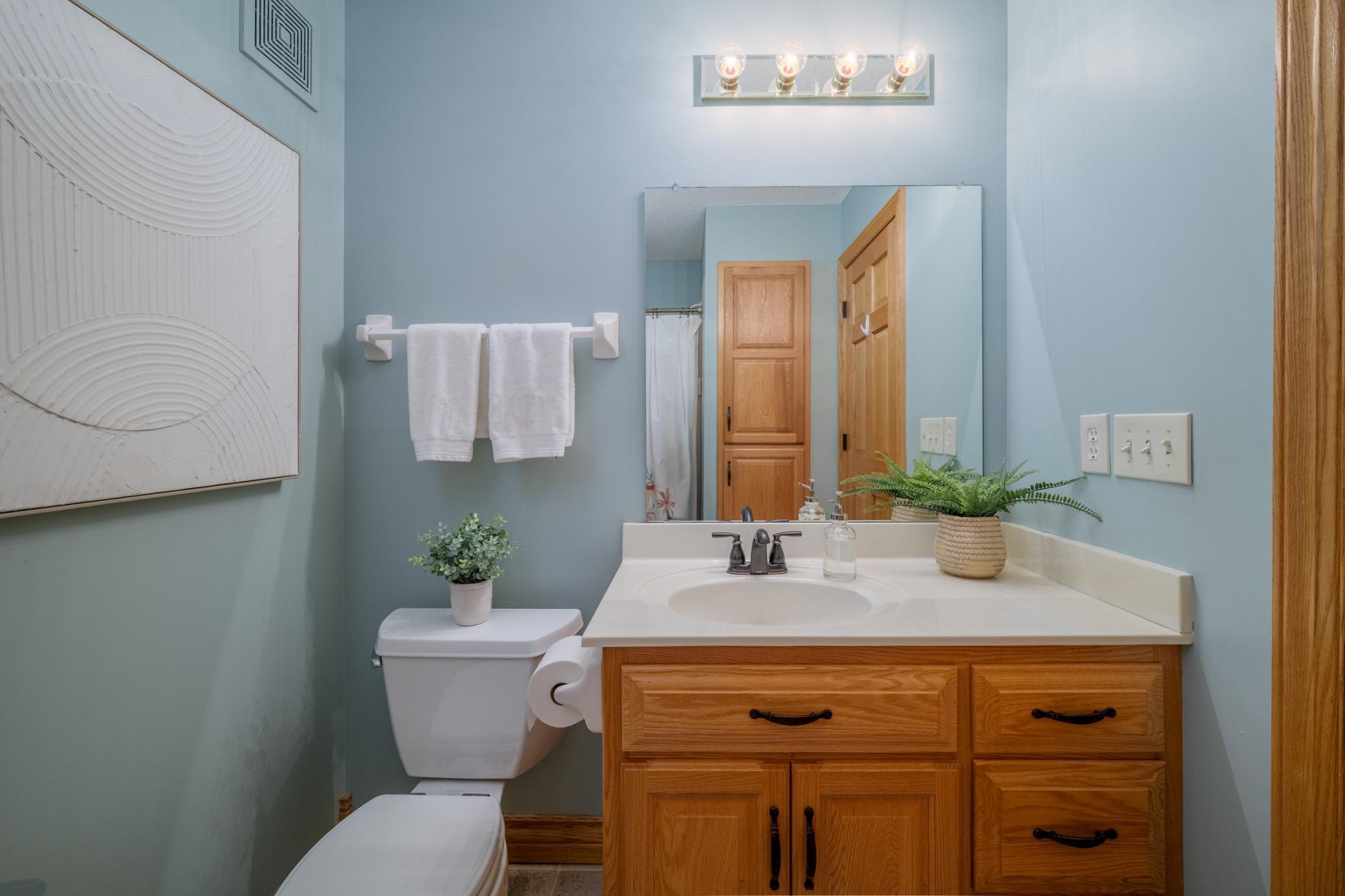Lower level bathroom serves the additional bedrooms and rec spaces.