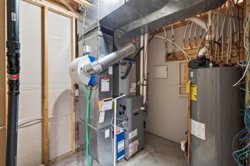 Mechanical room in the basement