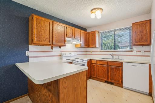 12-web-or-mls-90th Ave N-S0104-012.jpg