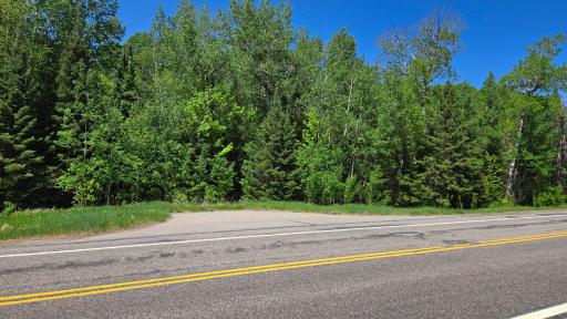 TBD 21 Nett Lake Road, Orr, MN 55771