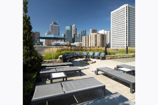 The Carlyle Amenity Deck - Chaise lounges for sunbathing by the pool