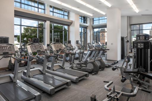 Carlyle Fitness Area
