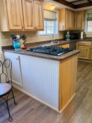 6693 County 38 NW, Walker, MN 56484