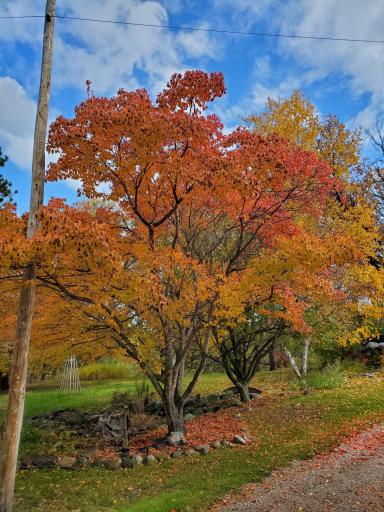 6693 County 38 NW, Walker, MN 56484