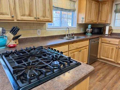 6693 County 38 NW, Walker, MN 56484