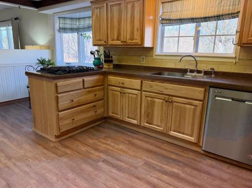 6693 County 38 NW, Walker, MN 56484